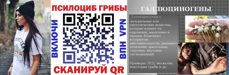 Купить закладки  Вилючинск  Галлюциногенные грибы Psilocybine cubensis 