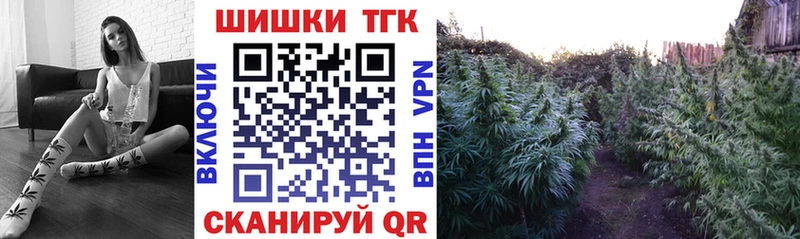 Канабис сатива  Купить где  Вилючинск 